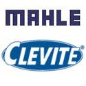 Mahle Mahle