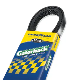 Polyvbelt