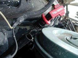 There She Blows There She Blows