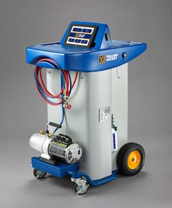 Yellow Jacket Yellow Jacket