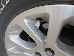 Uc Img2821 Uc Img2821