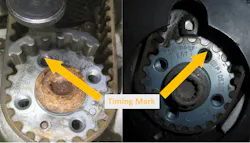 Figure 6 Copy0 Figure 6 Copy0
