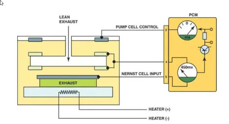 Widrange O2 Sensor Bosch 5 Wire Wideband O2 Sensor Wiring Diagram - Wiring Diagram