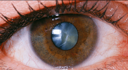 Ma1120 E 2 Copy Ma1120 E 2 Copy