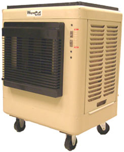 1155654853853 10334731