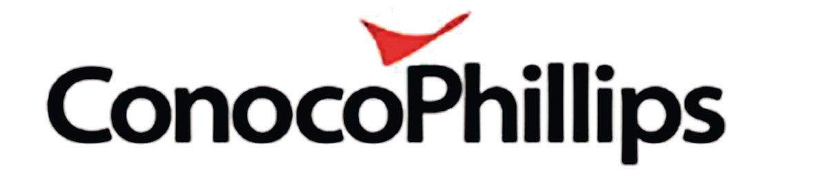 Tritonsyntheticgearlube 10129017