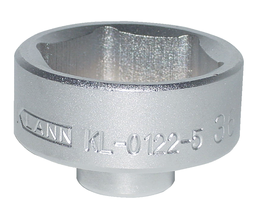 2newoilfilters 10098419