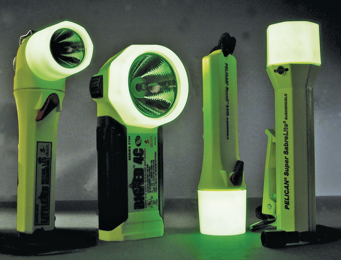 Glowinthedarkfiresafetyflashlights 10099374
