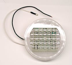 Greatwhitebackuplights 10127499 Greatwhitebackuplights 10127499