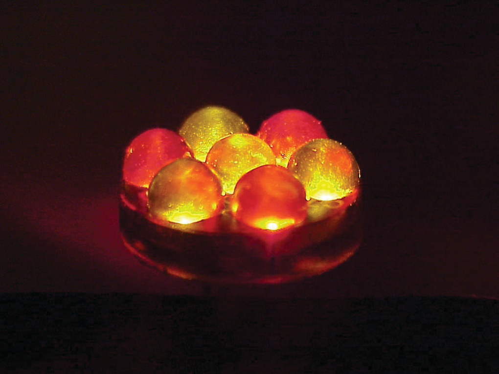 Polyledlamps 10125681