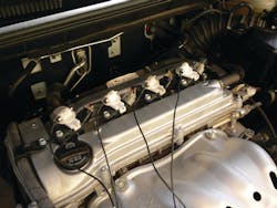 Ecopia 10106853 Ecopia 10106853