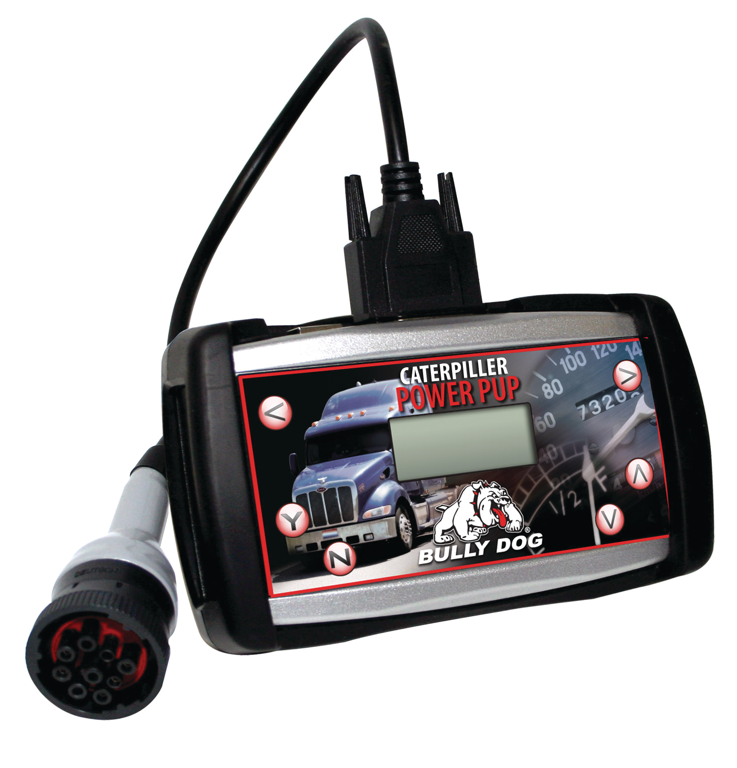 Bullydogcatpowerpup 10131315