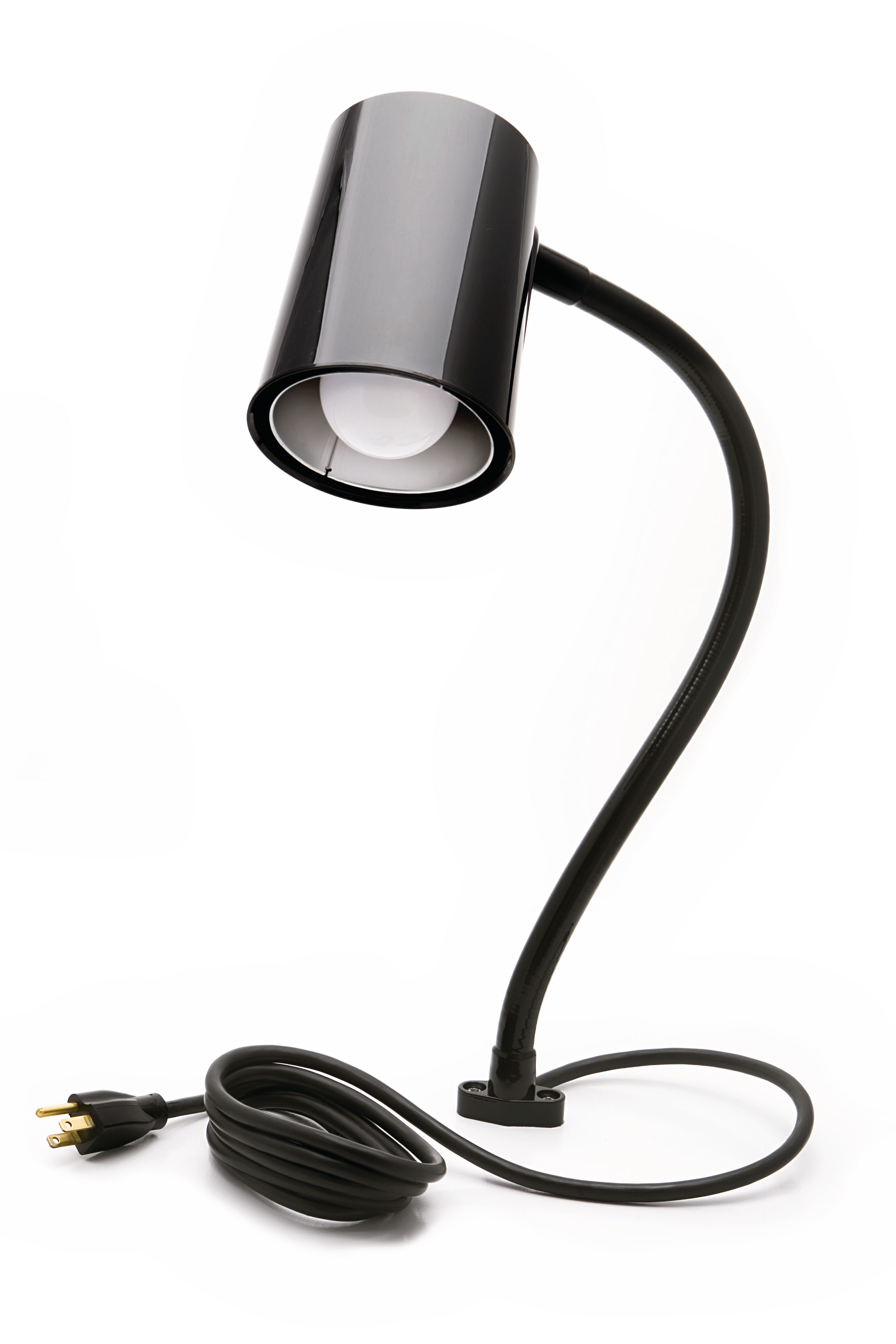 Snake Arm Lamp Image