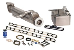 Egr1bd Ki 10171399 Egr1bd Ki 10171399