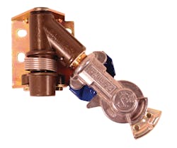 Phillipsi 10206544 Phillipsi 10206544