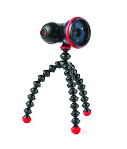 Jobygorillatorchflare 1 10240152 Jobygorillatorchflare 1 10240152