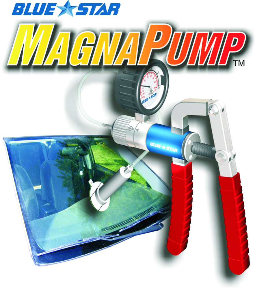 Bluestarmagnapumpexp 10264599