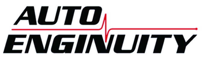 Autoenginuity ford bundle for sale Autoenginuity ford bundle for sale