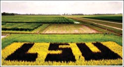 Lsu Agile 10744676 Lsu Agile 10744676