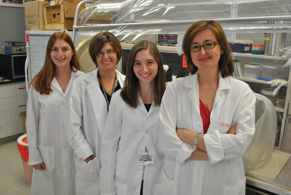 Michiganstate Biofuel 10742603