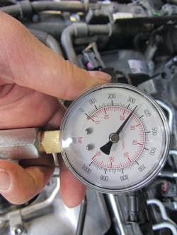 Img 5123 11190393 Img 5123 11190393