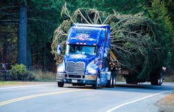 The 2013 U.S. Capitol Christmas tree was harvested from the Colville National Forest in Washington State to begin its multi-state trek to Washington, D.C. with the help of a 2014 MACK Pinnacle model truck. The 2013 U.S. Capitol Christmas tree was harvested from the Colville National Forest in Washington State to begin its multi-state trek to Washington, D.C. with the help of a 2014 MACK Pinnacle model truck.