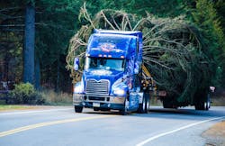 The 2013 U.S. Capitol Christmas tree was harvested from the Colville National Forest in Washington State to begin its multi-state trek to Washington, D.C. with the help of a 2014 MACK Pinnacle model truck.