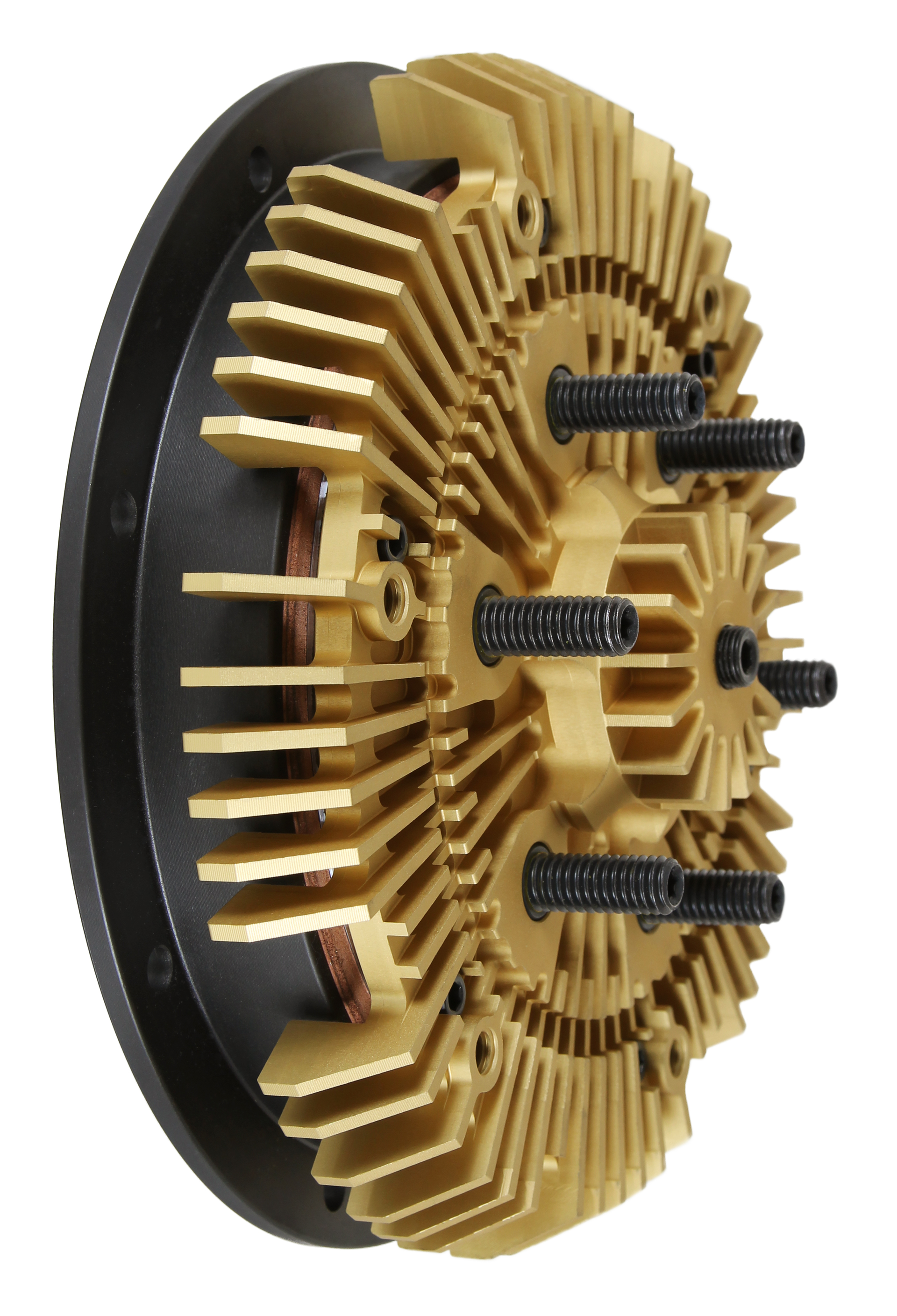 2 Speed GoldTop 553fb36885856