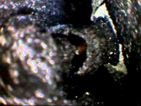 VIDEO: ATS borescope used to view carbon buildup