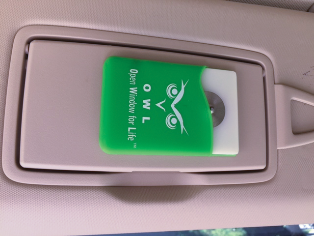 Open Window For Life 5ac3ec9fcf828