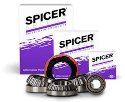 Spicer Select Differential Carrier Bearing Kit