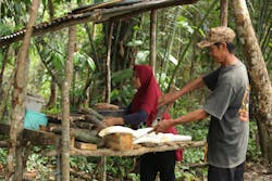 Sustainable Rubber Supply Chain5 Continental Giz Canopy Indonesia Sustainable Rubber Supply Chain5 Continental Giz Canopy Indonesia
