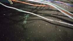 Figure 5- This compromised wire is the reason the water ingress created the voltage drop and left the system inoperable. Figure 5- This compromised wire is the reason the water ingress created the voltage drop and left the system inoperable.