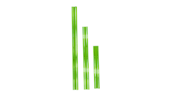 Green Magrails Green Magrails