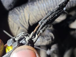 Figure 3 – Exhaust back pressure sensor Figure 3 – Exhaust back pressure sensor