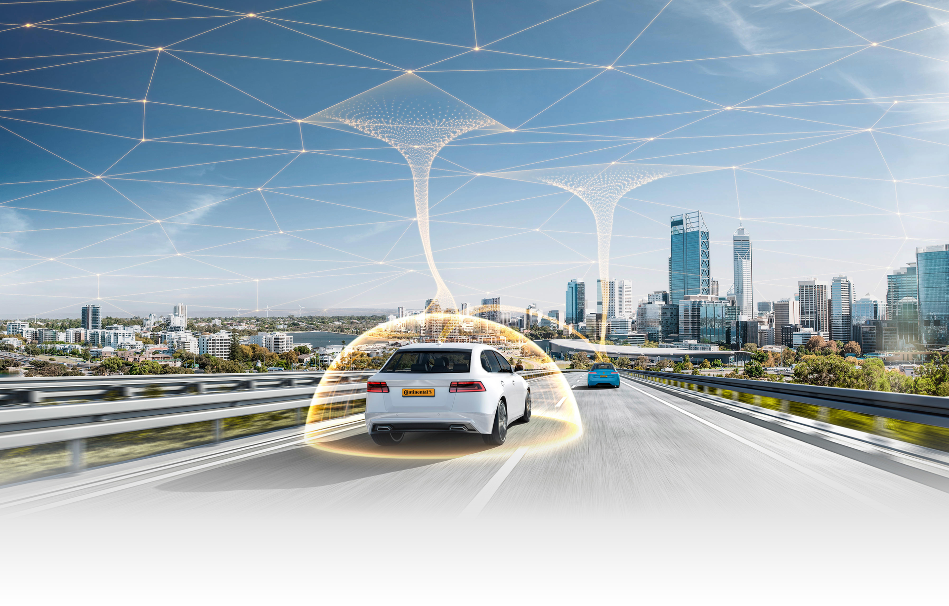 Continental Autodiagnos Drive Rvd