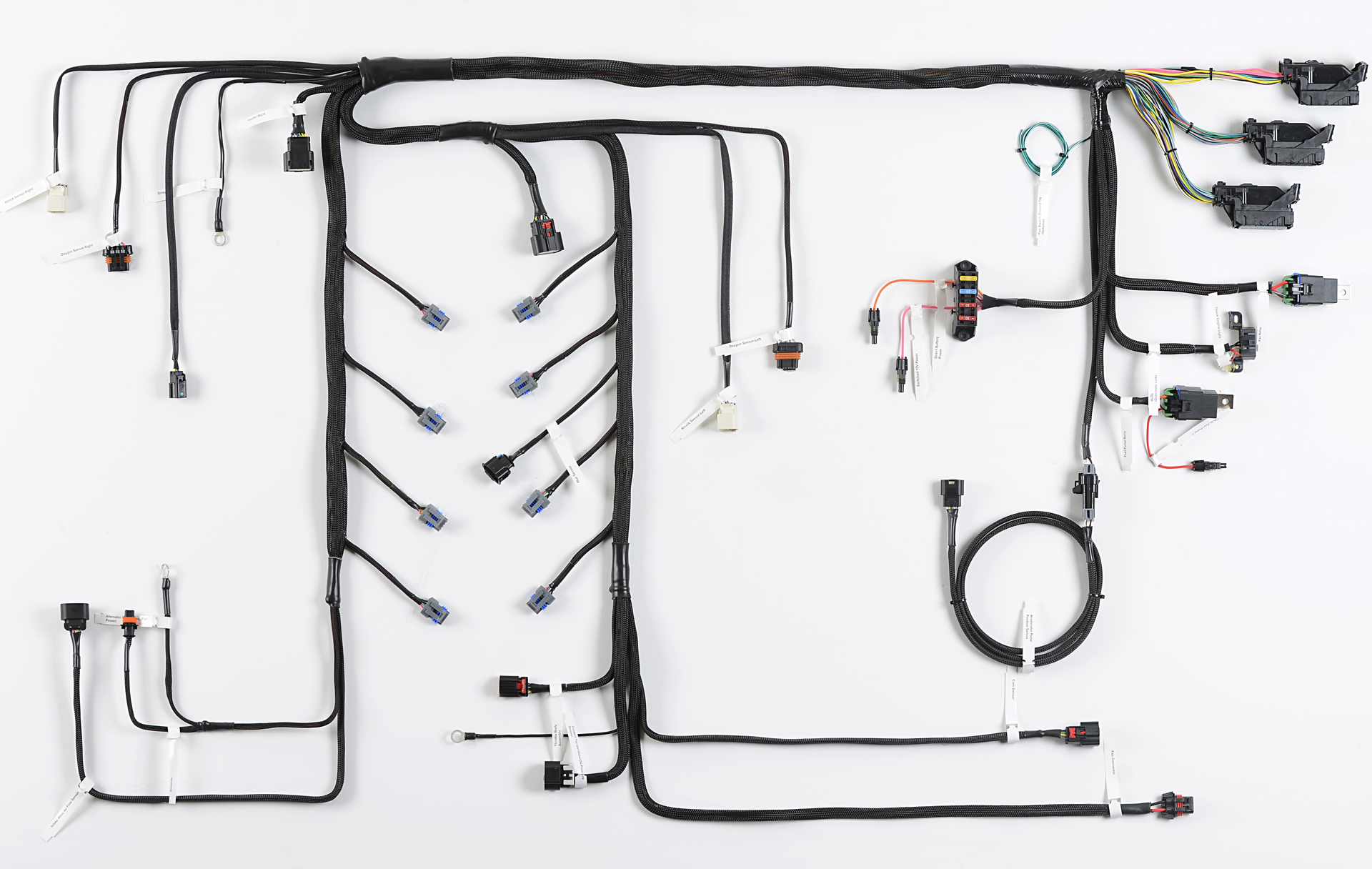 Howell EFI's LT/EcoTec3 4.3L V6 LV3-C truck harness (manual transmission)
