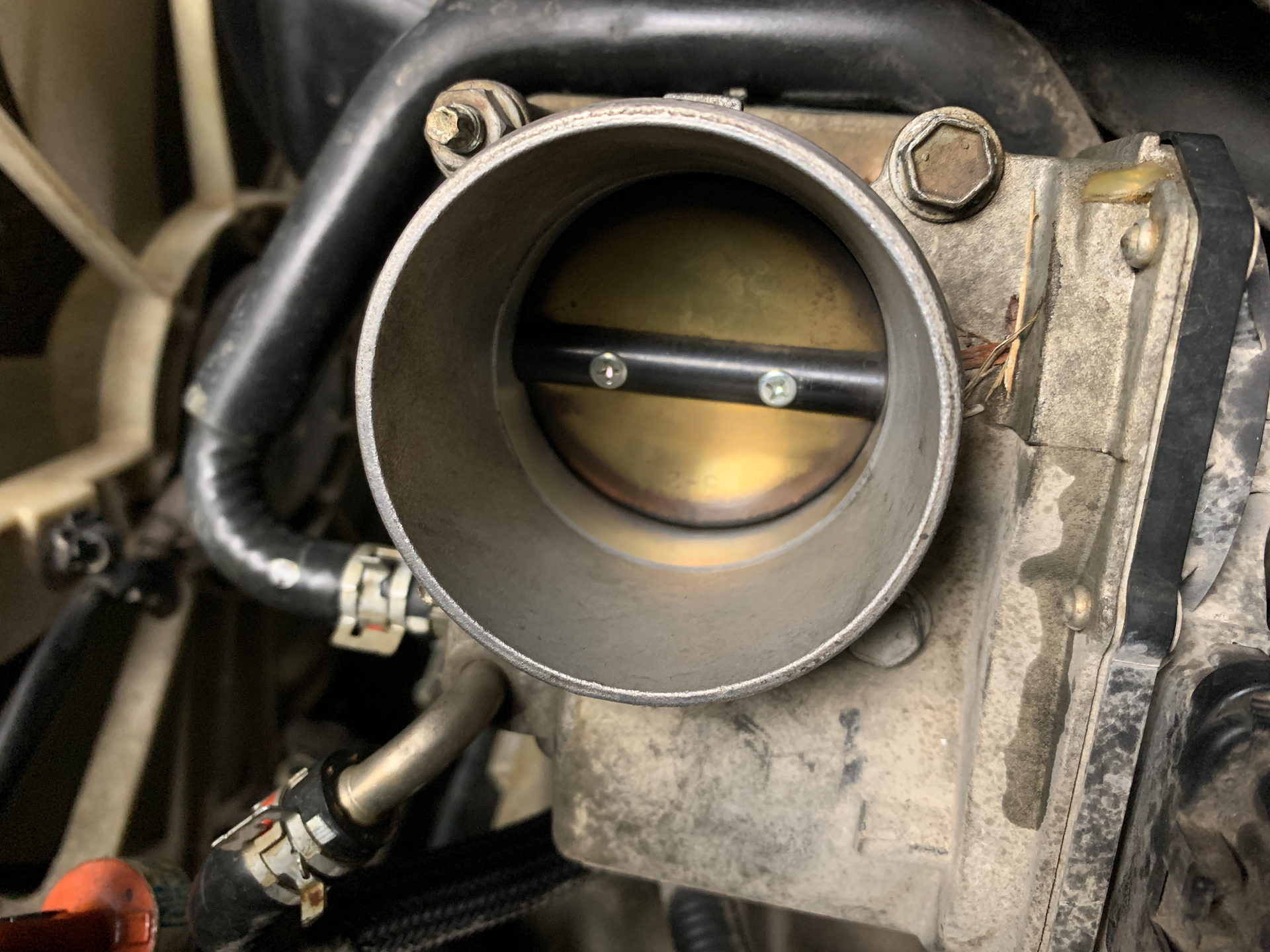 Img 1528 61c0ad67a0da0