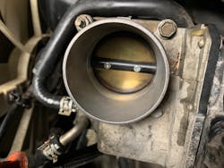 Img 1528 61c0ad67a0da0 Img 1528 61c0ad67a0da0