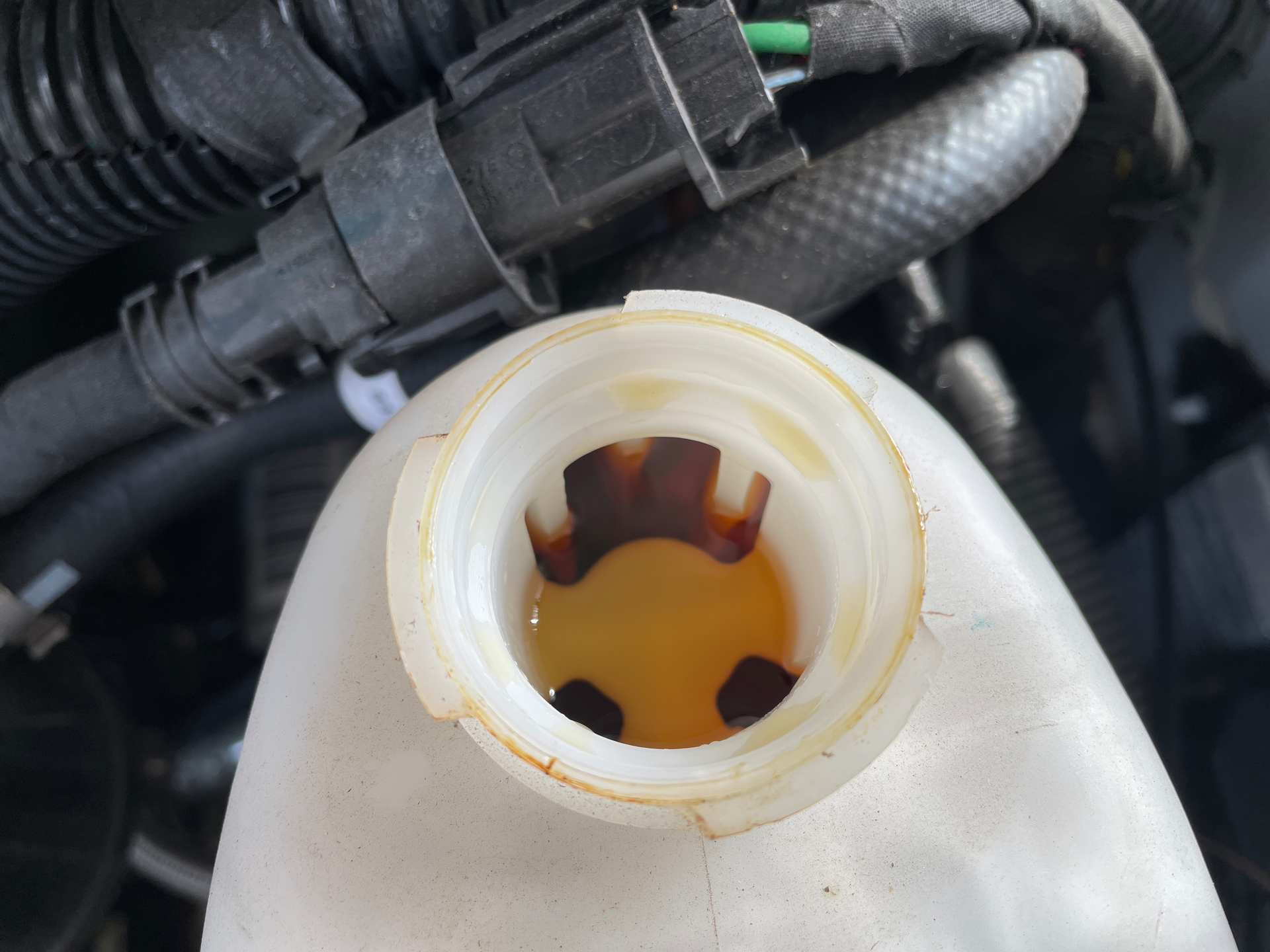 Img 3261 6238dba52e564