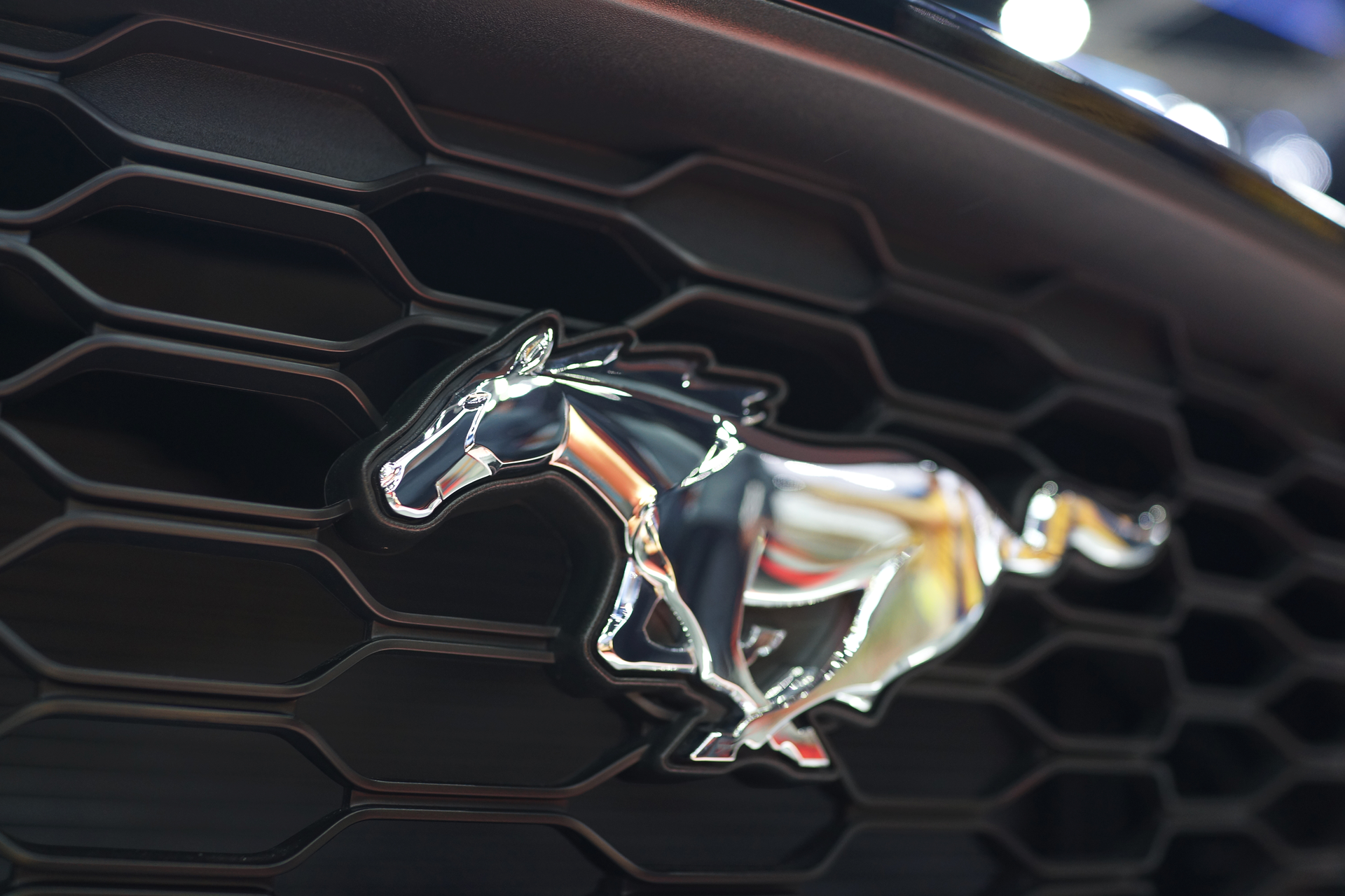 Ford mustang logo 1080P, 2K, 4K, 5K HD wallpapers free download | Wallpaper  Flare