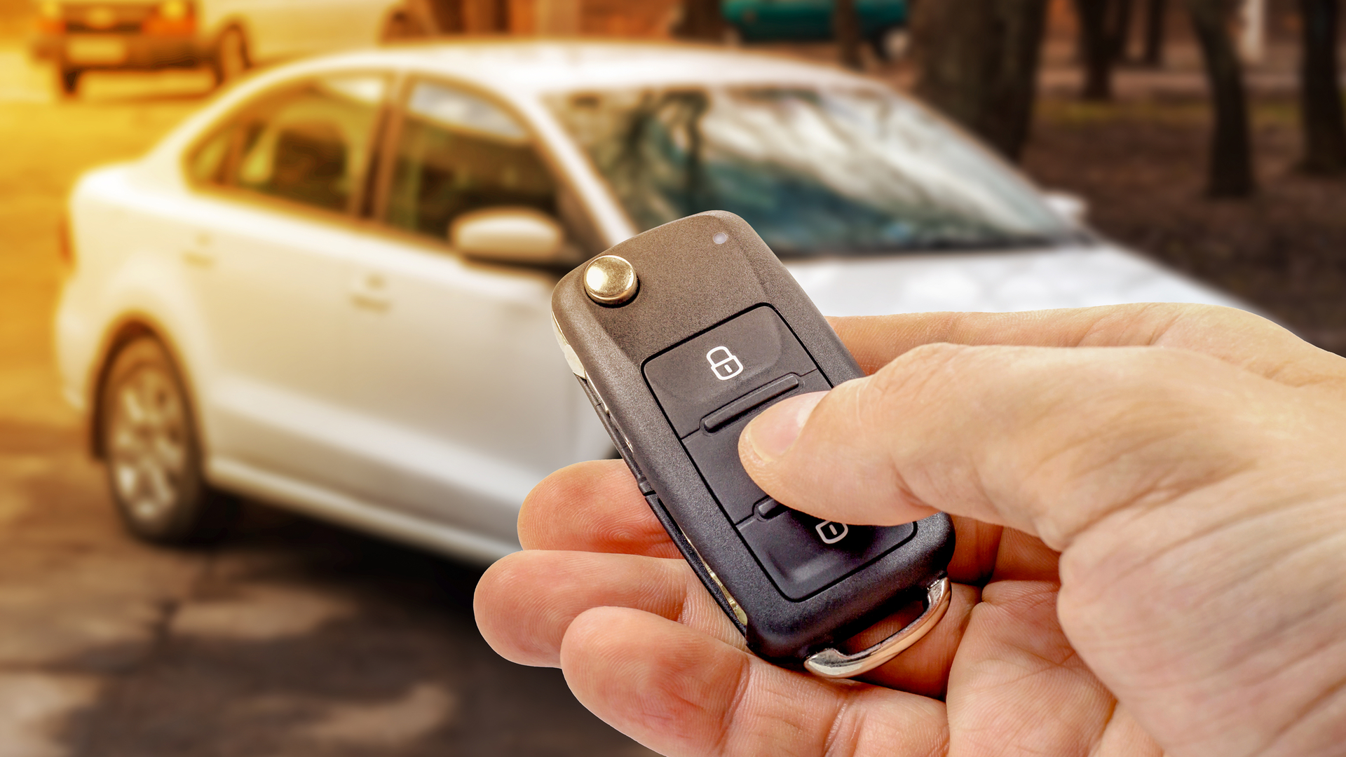 Dreamstime M 91979724