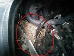 Digital inspections take documentation a step further with the use of pictures and videos that show exactly what the condition of an item was when it was inspected. Digital inspections take documentation a step further with the use of pictures and videos that show exactly what the condition of an item was when it was inspected.