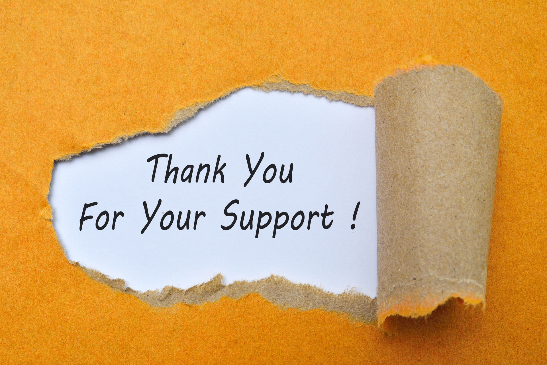 customer appreciation