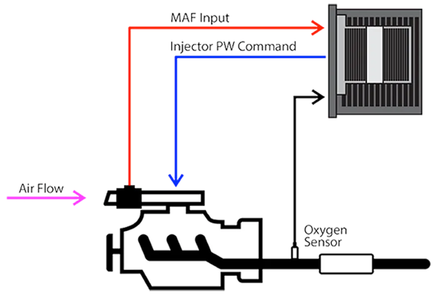 SMP 3 Trim Adjustment