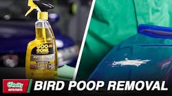 Bird poop removal
