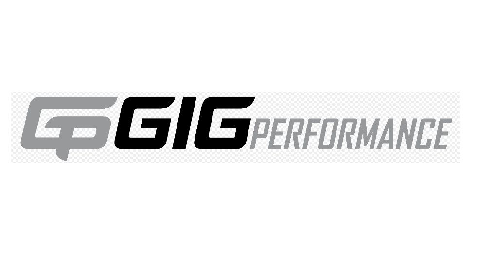 GIG Performance Vehicle Service Pros