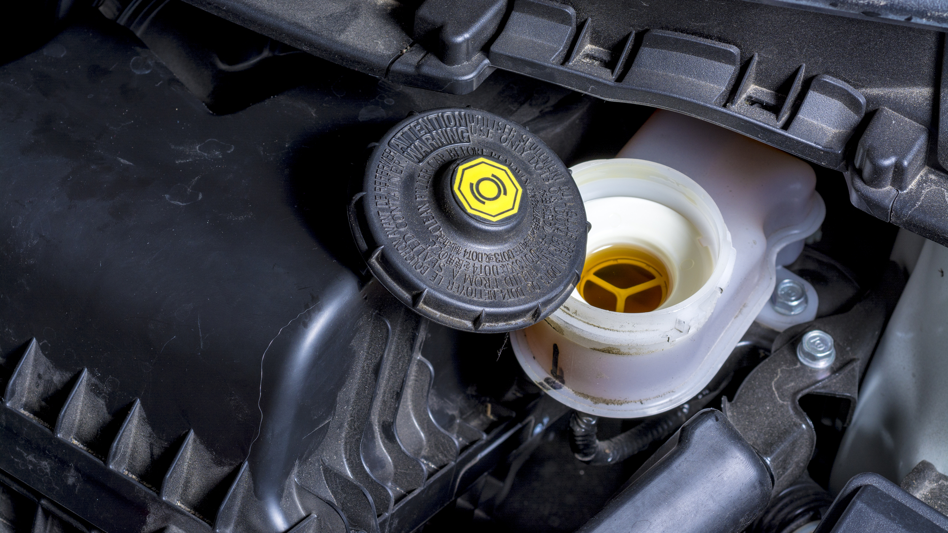 Dreamstime M 39305964 63698aabf36c7