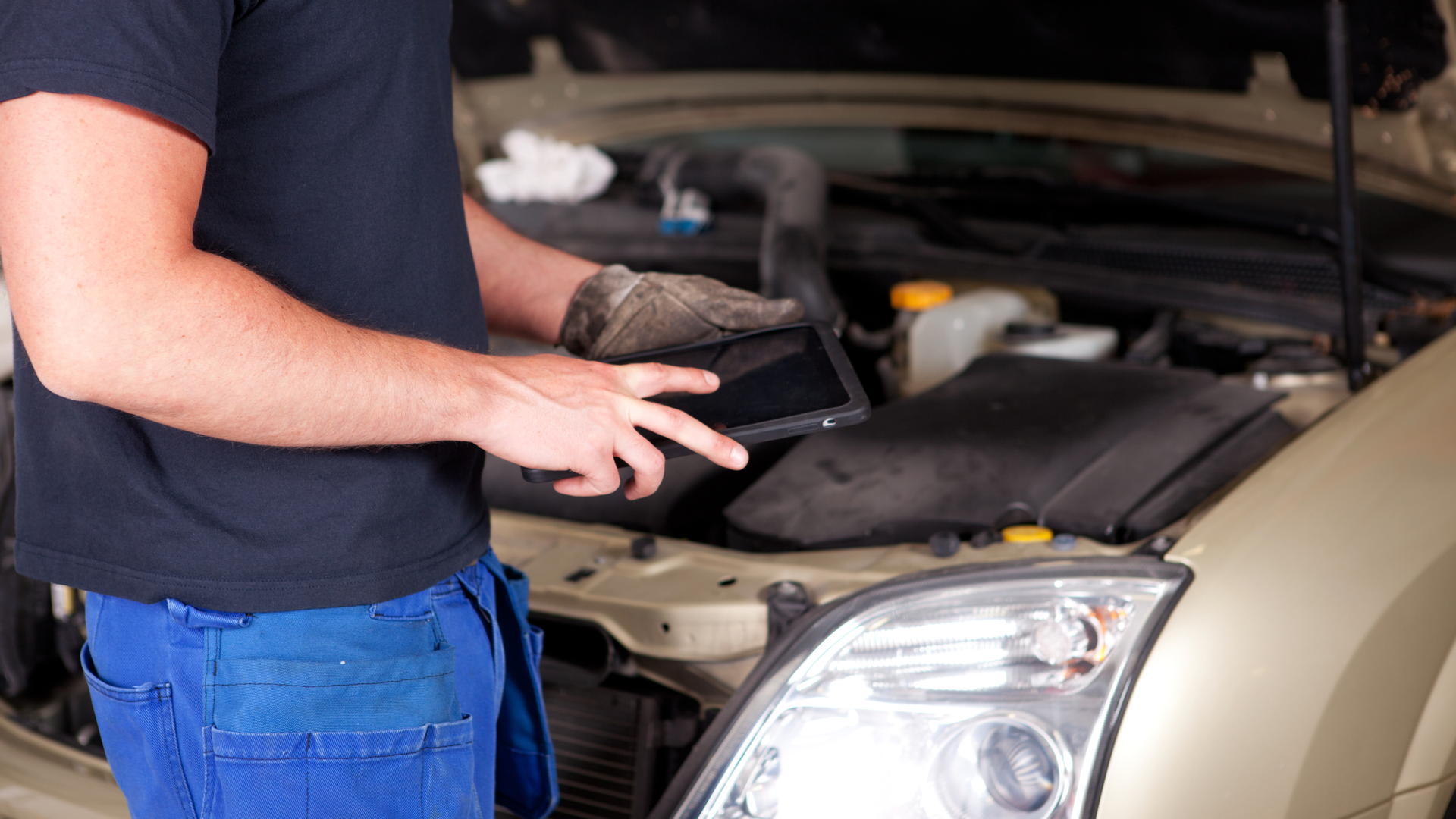 Dreamstime L 20989304 63e41df1bbefc