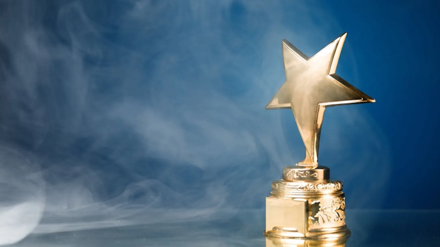 Vision Award